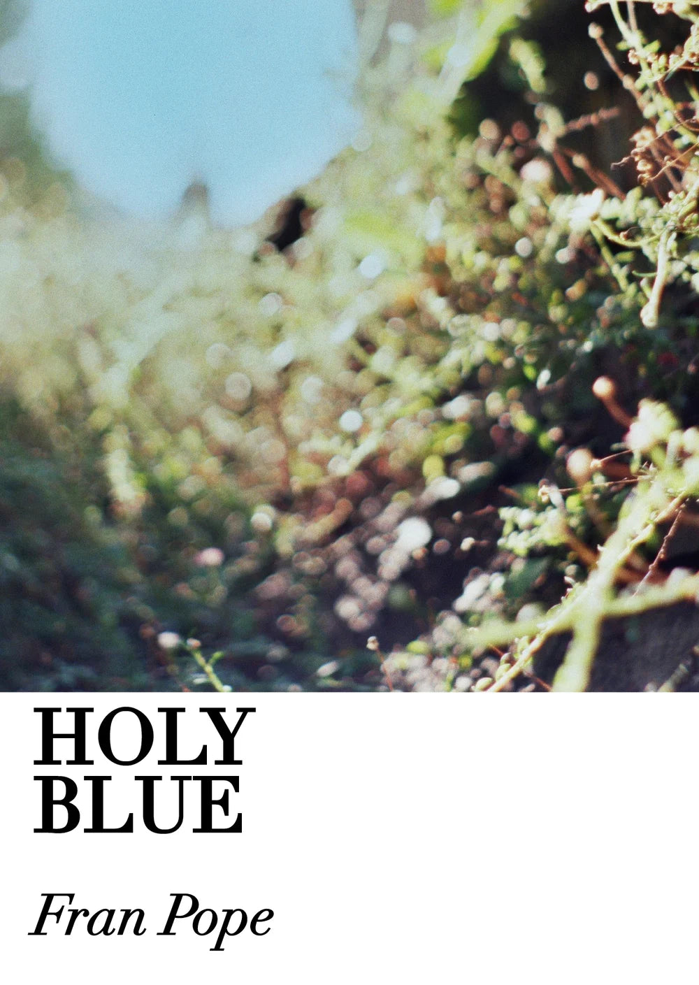 Holy Blue